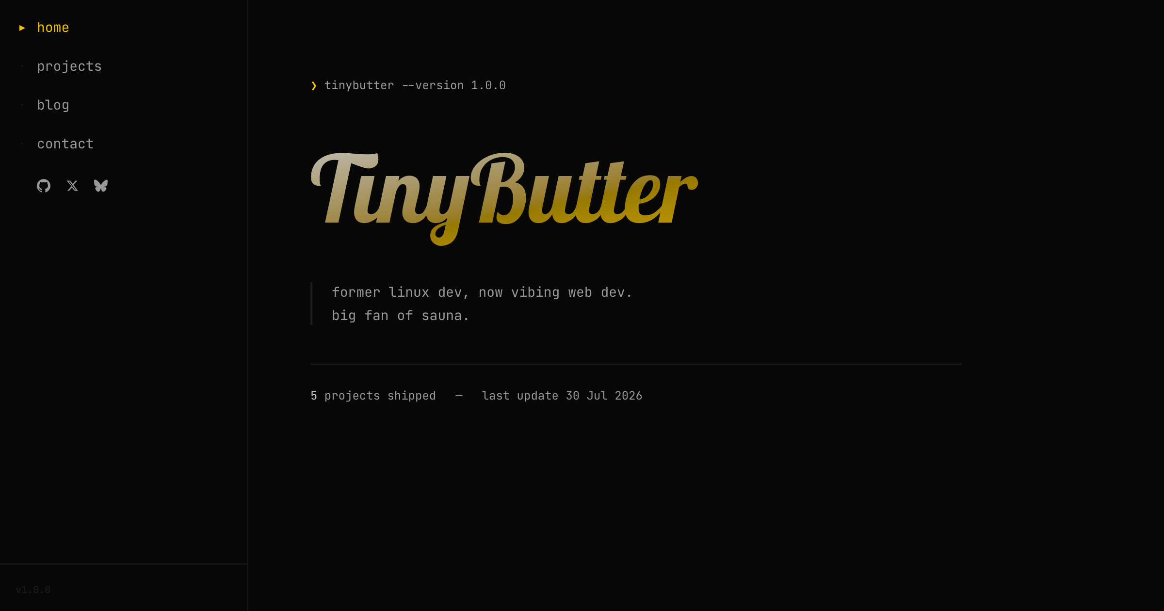Developer Portfolio